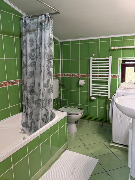 Dorobanti, Tudor Stefan